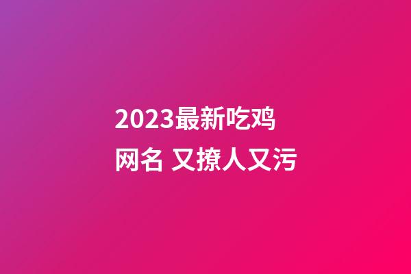 2023最新吃鸡网名 又撩人又污